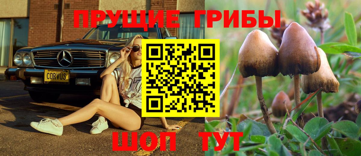 Анапа  Псилоцибиновые грибы мухоморы  Вход с VPN 